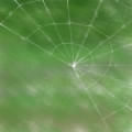 Iݦ^Mj